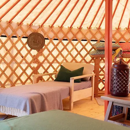 Camping Jurte Falken Nest Eisenbach (Breisgau-Hochschwarzwald)